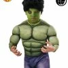 Rubies Deerfield Hulk Wig - Child