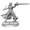 Dungeon & Dragons D&D Frameworks Tiefling Rogue Female