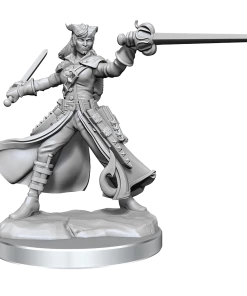 Dungeon & Dragons D&D Frameworks Tiefling Rogue Female