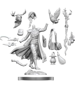 Dungeon & Dragons D&D Frameworks Human Druid Female All Board Games