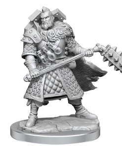 Dungeon & Dragons D&D Frameworks Human Male Fighter All Board Games