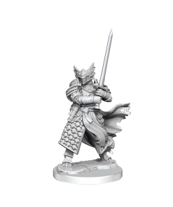 Dungeon & Dragons D&D Frameworks Dragonborn Paladin Male All Board Games