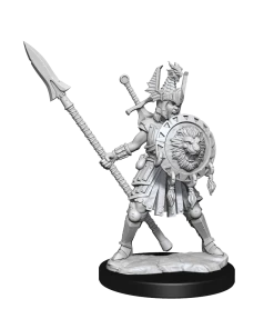 Dungeon & Dragons D&D Frameworks Human Fighter Female All Board Games