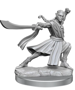 Dungeon & Dragons D&D Frameworks Elf Monk Male All Board Games