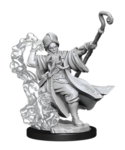 Dungeon & Dragons D&D Frameworks Human Wizard Male All Board Games