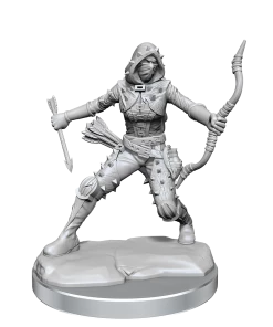 Dungeon & Dragons D&D Frameworks Human Rogue Female All Board Games