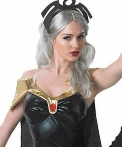 Rubies Deerfield Storm X-Men Secret Wishes Costume, Adult