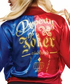 Rubies Deerfield Harley Quinn Costume Kit, Adult