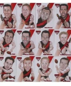 . WEG - Essendon 2000 AFL Card Set Sports Cards
