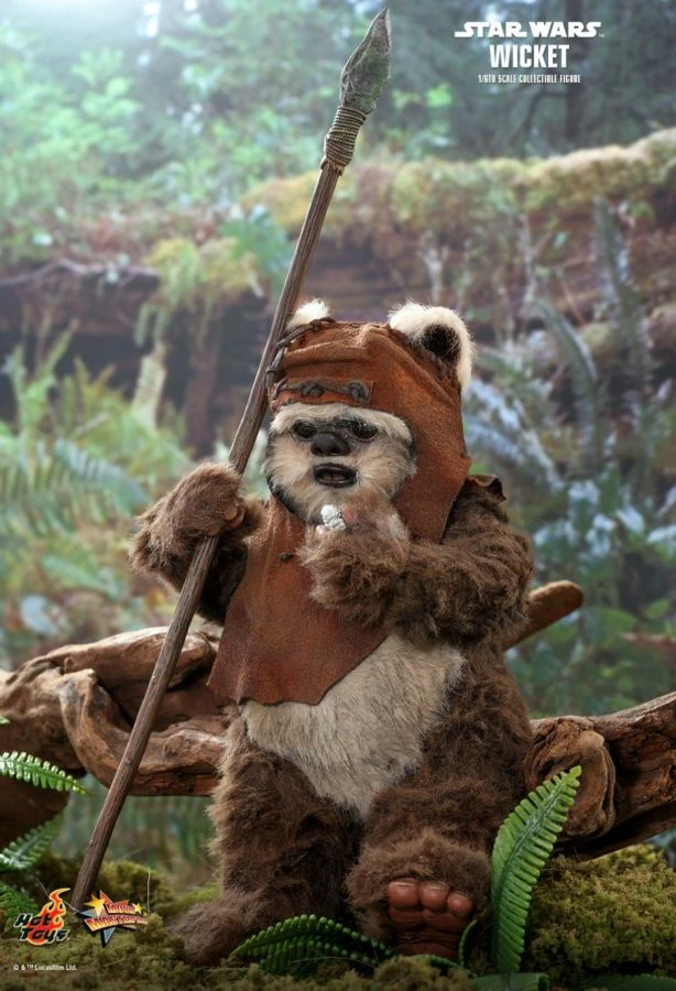 Hot Toys Star Wars - Wicket Return Of The Jedi 1:6 Scale Acton Figure 3 Hot Toys Star Wars - Wicket Return Of The Jedi 1:6 Scale Acton Figure