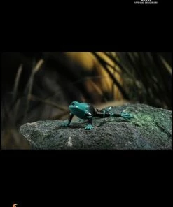 Hot Toys Star Wars: The Mandalorian - Grogu 1:6 Scale Action Figure Set