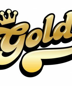 Funko Collections Ice Cube - Ice Cube 5" Vinyl Gold 5 Funko Collections Ice Cube - Ice Cube 5