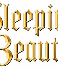 Loungefly Sleeping Beauty - Fairy Godmothers Zip Purse