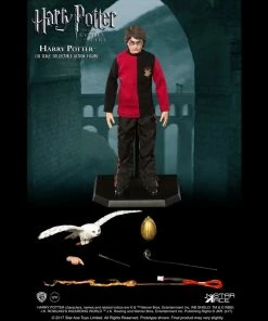 Star Ace Toys Harry Potter - Harry Triwizard Last Game Version 1:8 Action Figure 9 Star Ace Toys Harry Potter - Harry Triwizard Last Game Version 1:8 Action Figure