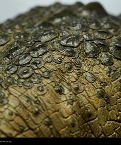 Sideshow Collectibles DC Comics - Killer Croc Premium Format 1:4 Scale Statue