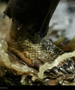 Sideshow Collectibles DC Comics - Killer Croc Premium Format 1:4 Scale Statue