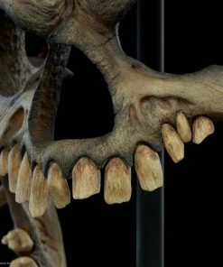 Sideshow Collectibles Court Of The Dead - Kier Bane Of Heaven Mask