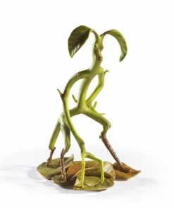 Noble Collection HARRY POTTER - Magical Creatures - Bowtruckle Figure 5 Noble Collection HARRY POTTER - Magical Creatures - Bowtruckle Figure