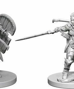 WizKids Games All Board Games Pathfinder - Deep Cuts Unpainted Miniatures: Human Female Paladin