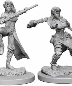 WizKids Games Dungeons & Dragons - Nolzurs Marvelous Unpainted Minis: Human Female Monk All Board Games
