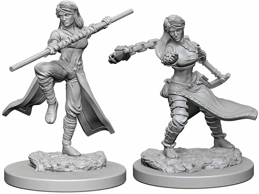 WizKids Games Dungeons & Dragons - Nolzurs Marvelous Unpainted Minis: Human Female Monk All Board Games 1 WizKids Games Dungeons & Dragons - Nolzurs Marvelous Unpainted Minis: Human Female Monk All Board Games