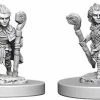 Wizkids Games All Board Games Pathfinder - Deep Cuts Unpainted Miniatures: Gnome Male Druid