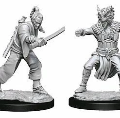 Wizkids Games Dungeons & Dragons - Nolzurs Marvelous Unpainted Minis: Male Human Monk
