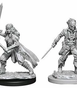 Wizkids Games Dungeons & Dragons - Nolzurs Marvelous Unpainted Minis: Vampire Hunters