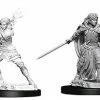 WizKids Games Dungeons & Dragons - Nolzur's Marvelous Unpainted Minis: Female Human Paladin