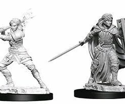 WizKids Games Dungeons & Dragons - Nolzur's Marvelous Unpainted Minis: Female Human Paladin