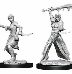 WizKids Games Dungeons & Dragons - Nolzurs Marvelous Unpainted Minis: Female Human Rogue All Board Games