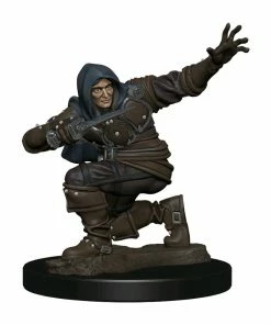 WizKids Games All Board Games Pathfinder - Human Rogue Male Premium Figure