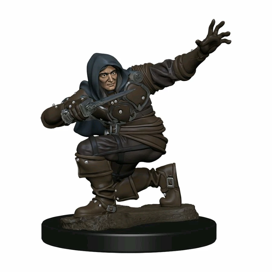 WizKids Games All Board Games Pathfinder - Human Rogue Male Premium Figure 1 WizKids Games All Board Games Pathfinder - Human Rogue Male Premium Figure
