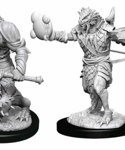 WizKids Games Dungeons & Dragons - Nolzurs Marvelous Unpainted Minis: Male Dragonborn Paladin