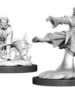 WizKids Games Dungeons & Dragons - Nolzurs Marvelous Unpainted Minis: Female Human Monk
