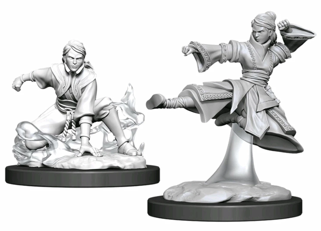 WizKids Games Dungeons & Dragons - Nolzurs Marvelous Unpainted Minis: Female Human Monk 1 WizKids Games Dungeons & Dragons - Nolzurs Marvelous Unpainted Minis: Female Human Monk