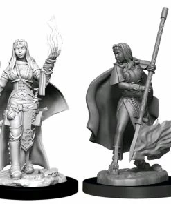 WizKids Games All Board Games Pathfinder - Deep Cuts Unpainted Miniatures: Female Human Oracle (Magic)