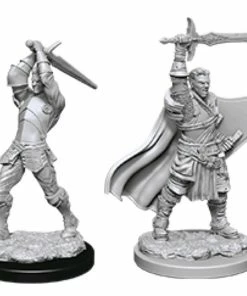 WizKids Games Dungeons & Dragons - Nolzurs Marvelous Unpainted Minis: Male Human Paladin