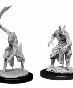 WizKids Games Dungeons & Dragons - Nolzur's Marvelous Unpainted Minis: Jackalwere