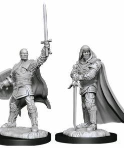 WizKids Games Dungeons & Dragons - Nolzur's Marvelous Unpainted Minis: Human Paladin Male