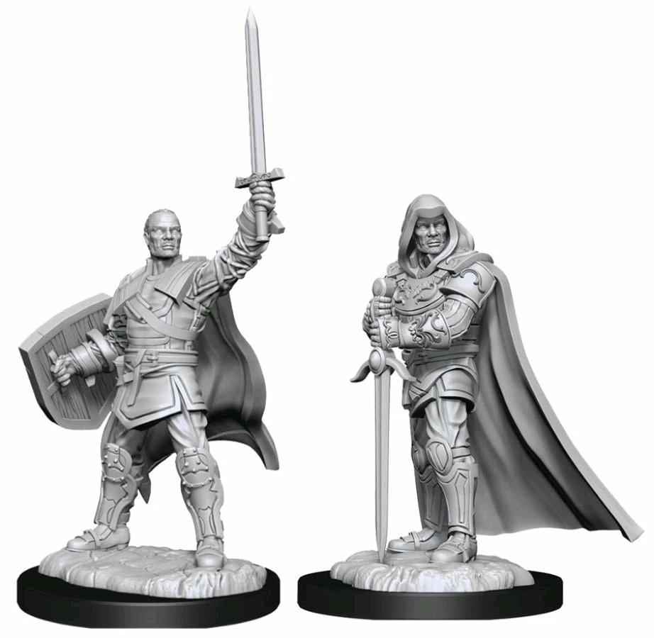 WizKids Games Dungeons & Dragons - Nolzur's Marvelous Unpainted Minis: Human Paladin Male 1 WizKids Games Dungeons & Dragons - Nolzur's Marvelous Unpainted Minis: Human Paladin Male