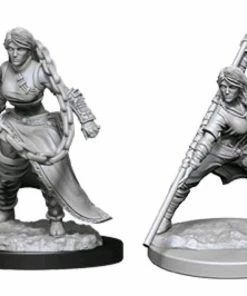 WizKids Games Dungeons & Dragons - Nolzur's Marvelous Unpainted Miniatures: Human Monk Male All Board Games