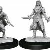WizKids Games Dungeons & Dragons - Nolzur's Marvelous Unpainted Miniatures: Half-Elf Rogue Female