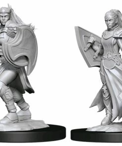 WizKids Games Dungeons & Dragons - Nolzur's Marvelous Unpainted Miniatures: Kalashtar Cleric Female