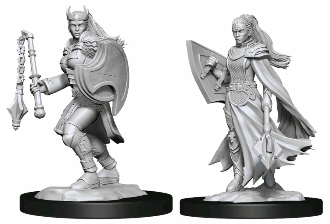 WizKids Games Dungeons & Dragons - Nolzur's Marvelous Unpainted Miniatures: Kalashtar Cleric Female 1 WizKids Games Dungeons & Dragons - Nolzur's Marvelous Unpainted Miniatures: Kalashtar Cleric Female