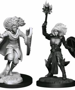 WizKids Games All Board Games Dungeons & Dragons - Nolzur's Marvelous Unpainted Miniatures: Changeling Cleric Male
