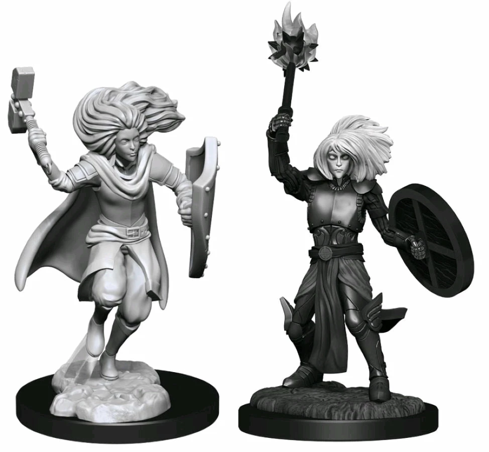 WizKids Games All Board Games Dungeons & Dragons - Nolzur's Marvelous Unpainted Miniatures: Changeling Cleric Male 1 WizKids Games All Board Games Dungeons & Dragons - Nolzur's Marvelous Unpainted Miniatures: Changeling Cleric Male