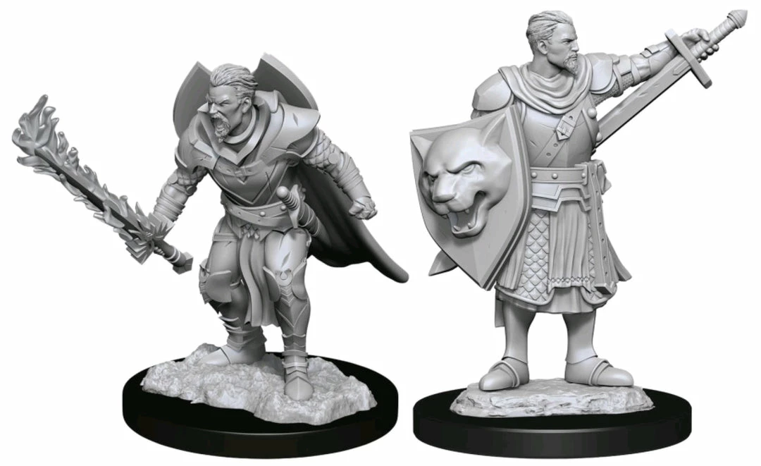 WizKids Games All Board Games Pathfinder - Deep Cuts Unpainted Miniatures: Human Champion Male 1 WizKids Games All Board Games Pathfinder - Deep Cuts Unpainted Miniatures: Human Champion Male