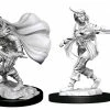WizKids Games Pathfinder - Deep Cuts Unpainted Miniatures: Human Rogue Female