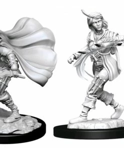 WizKids Games Pathfinder - Deep Cuts Unpainted Miniatures: Human Rogue Female